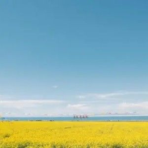 Meet your Posher, Lillian